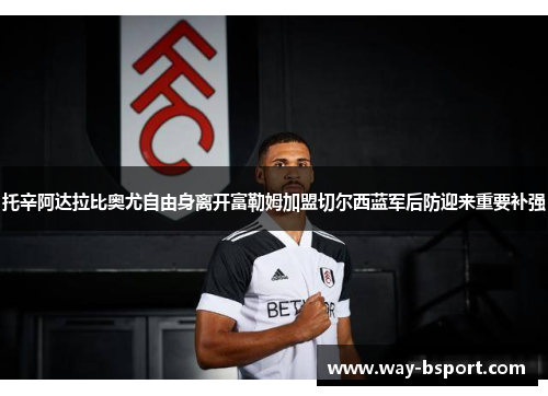 托辛阿达拉比奥尤自由身离开富勒姆加盟切尔西蓝军后防迎来重要补强