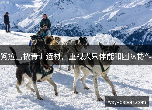 狗拉雪橇青训选材,重视犬只体能和团队协作 狗拉雪橇青训选材,重视犬只体能和团队协作